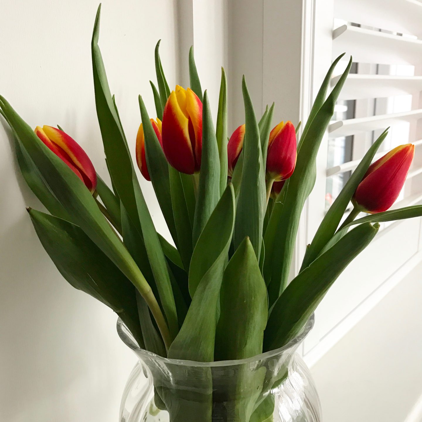 Dartington Crystal Florabundance Tulip Vase