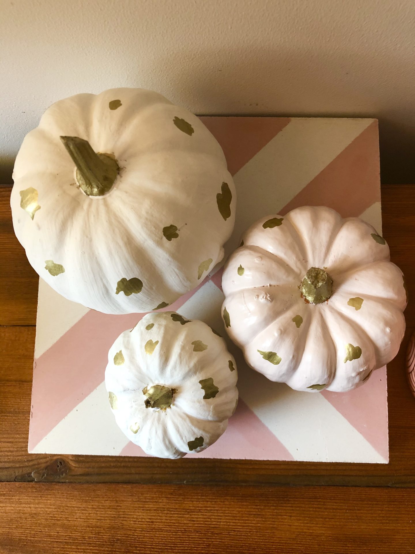 Autumn Painted Pumpkins